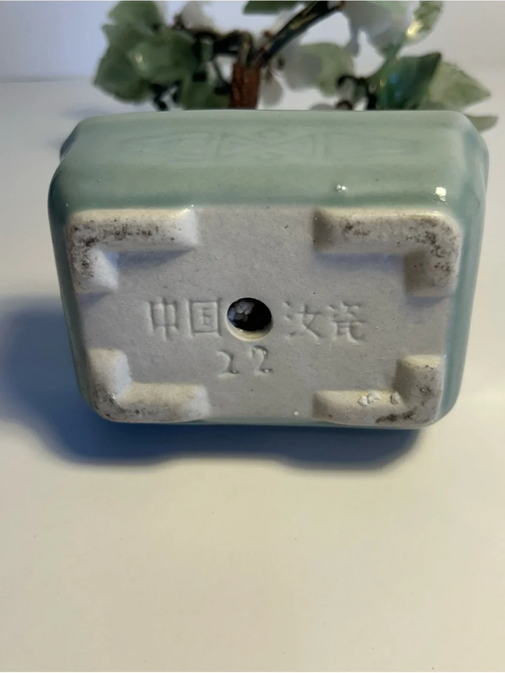 White Jade Blossom Bonsai in Pale Green Planter - Brand Unknown